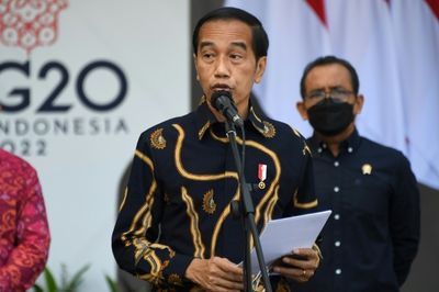 Zelensky, Putin invited to G20 summit: Indonesian leader