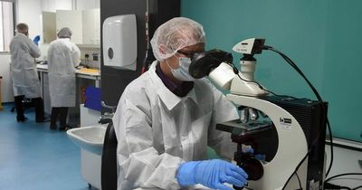 The DNA evidence that might finally enable police to find Helen Kane’s killer