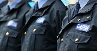 Number of garda applicants doubles in three years