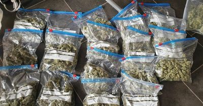 Man carrying sports bag full of cannabis caught in neighbour's garden