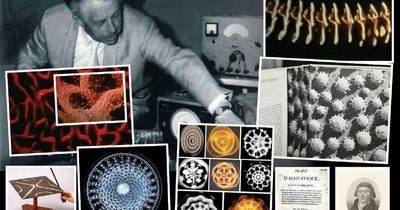 Welcome to the wonderful world of cymatics, the sights of sound