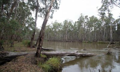 New Murray-Darling Basin Authority boss fails to mention environment in all-staff memo