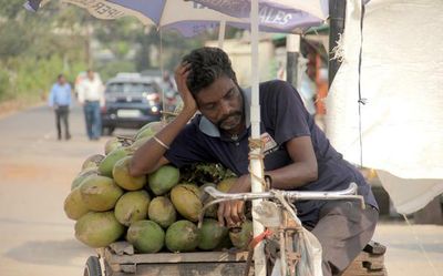 Heatwaves linked to man-made climate change: TNQ-Janelia webinar