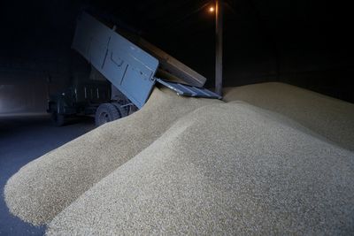 Ukraine says Russia stole 'several hundred thousand tonnes' of grain