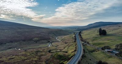The Earth's Corr: I wouldn't like to be any animal crossing a Northern Ireland road