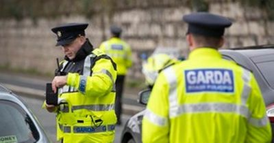Gardai arrest truck driver on the spot for 'dangerous' move alongside school bus