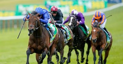 Newmarket 2000 Guineas tips plus best bets for Punchestown, Goodwood, Doncaster, Thirsk, Uttoxeter and Hexham