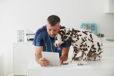 Veterinarians are getting burnt out