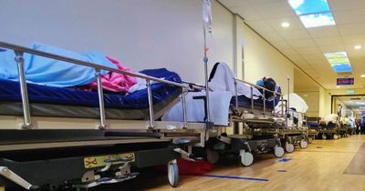 Hospital corridor packed with beds as A&E patients wait 24 hours to be seen
