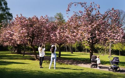 Sunshine and showers for the bank holiday weekend