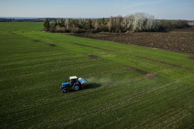 Ukraine accuses Russia of massive grain theft