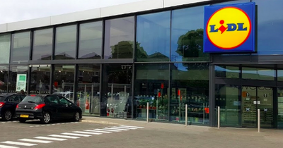 Lidl shoppers praise dog sunbed with shade that is 'perfect for summer'