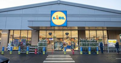 Lidl urgently recalls lager containing sulphur dioxide over 'health risk'