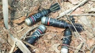 Chhattisgarh: Kids' 'toys' found on riverbank in Dantewada turn out to be shells