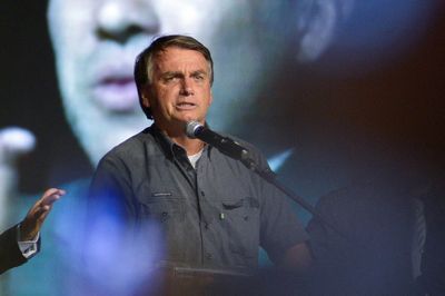 Bolsonaro says demonstrators expected to show support for Constitution