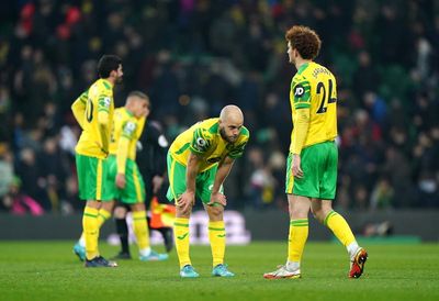 Norwich relegated from the Premier League but where did it go wrong for the Canaries?