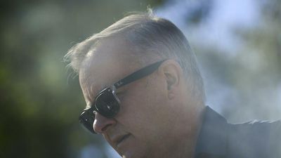 Voters don’t want more of same: Albanese