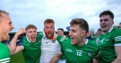 History made as Limerick defeat Clare in Championship's first ever penalty shootout