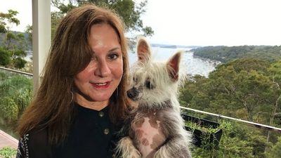 Ukrainians fleeing bombs find safety with Sydney host families