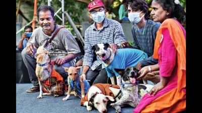 On a mission to foster disabled pets