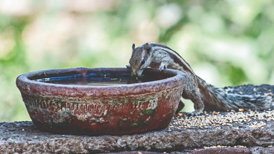Gurugram: At 46.2 degree Celsius, it’s yet another April high, storm may bring relief on Tuesday