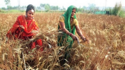 Uttar Pradesh govt to help farmers turn entrepreneurs