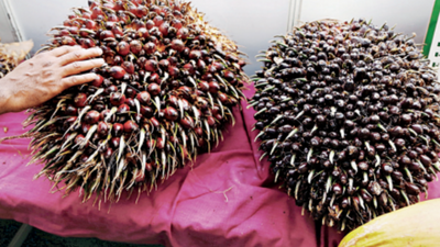 Andhra Pradesh: Oil palm ryots cheer record jump in price