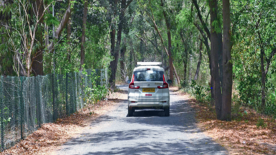 On tourist map: A forest getaway mere 30 mins away from the Gurugram
