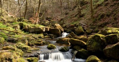 The beautiful woodland walk in the Peak District with tumbling waterfalls