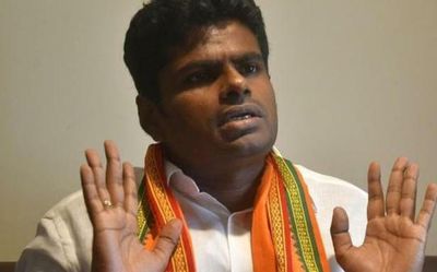 Annamalai wants Tamil Nadu to hand over Sri Lankan aid package to Centre