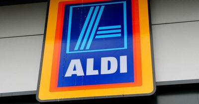 'I checked Aldi's middle aisle at my local store and it was a hidden treasure trove'