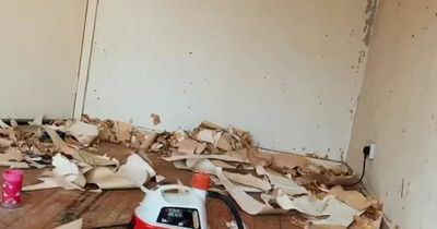 Mum completely transforms council house into beautiful home in just one week