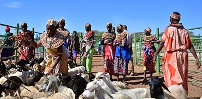 Kenyan pastoralists: how changing livestock markets could reduce conflict