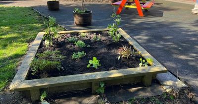 Lanarkshire community garden shortlisted for award