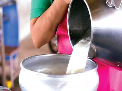 Goa: More than 4,500 dairy farmers to get rate hike of Rs 2/lt of milk