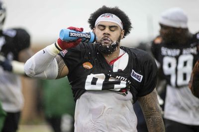 Ohio State football NFL draft undrafted free agent tracker