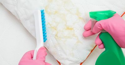 Little-known cleaning hack experts use on 'unsettling' yellow pillow stains