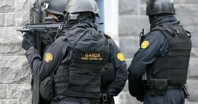 Man, 88, makes US news after he comes home to armed gardai inside his house