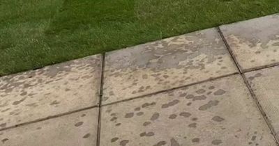 Woman saves fortune on grubby paving slab makeover doing it herself for £16
