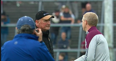Fans compare Brian Cody and Henry Shefflin to Roy Keane and Mick McCarthy after icy handshake