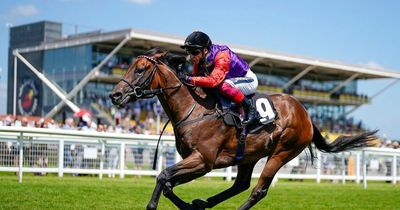 Queen's Derby horse Reach For The Moon in race against time to run in Dante