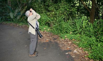 Do birders make good tourists? ‘In the 90s you’d get some deeply suspicious looks’