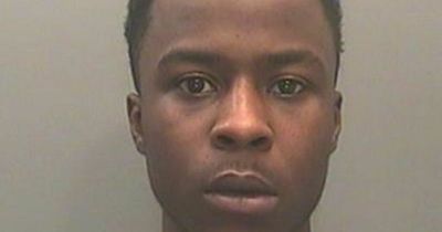 Puppy snatcher tries to break out of jail by switching places with brother during visit