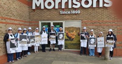 Morrisons: Protesters with "Frankenchickens" images storm supermarket