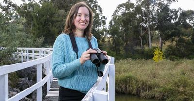 How a passion project identified more than 120 bird species at Umbagong Park