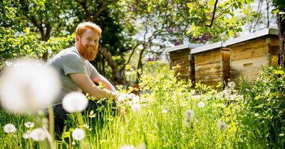 Four little known gardening mistakes which could land you in trouble with police