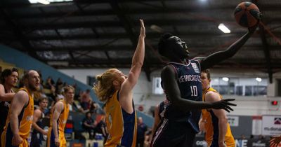 Newcastle Falcons fly high in thrilling NBL1 East encounters against Canberra