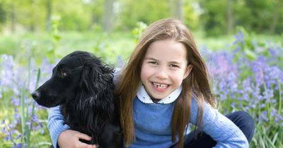 Princess Charlotte beams and hugs pet dog in cute 7th birthday snaps taken by mum Kate