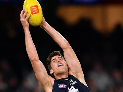 Carlton challenge Young's AFL suspension