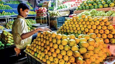 Relish all mango varieties in Jaipur from May 15